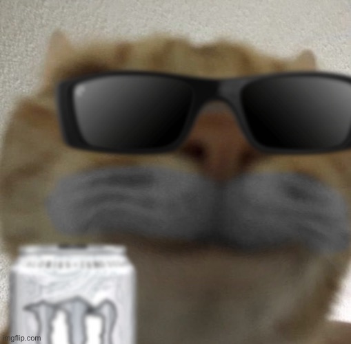 Kool kat | image tagged in kool kat | made w/ Imgflip meme maker