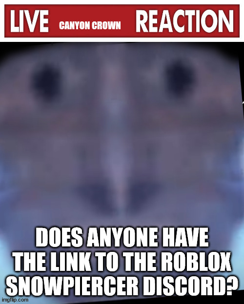 really trying to get my 2nd class tickets | DOES ANYONE HAVE THE LINK TO THE ROBLOX SNOWPIERCER DISCORD? | image tagged in live canyon crown reaction | made w/ Imgflip meme maker