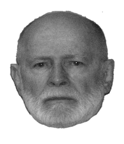 High Quality Whitey Bulger grayscale Blank Meme Template