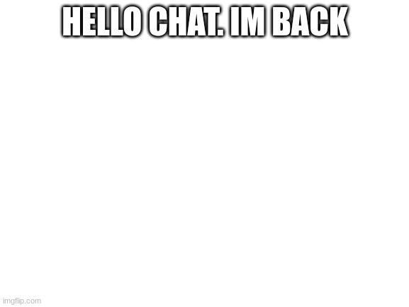 Blank White Template | HELLO CHAT. IM BACK | image tagged in blank white template | made w/ Imgflip meme maker