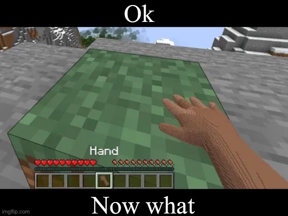 Hand touching Minecraft grass block | Ok Now what | image tagged in hand touching minecraft grass block | made w/ Imgflip meme maker