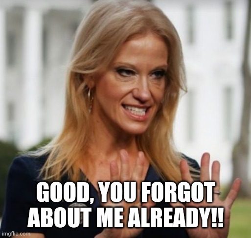 Evil Kelly Ann Conway | GOOD, YOU FORGOT ABOUT ME ALREADY!! | image tagged in evil kelly ann conway | made w/ Imgflip meme maker