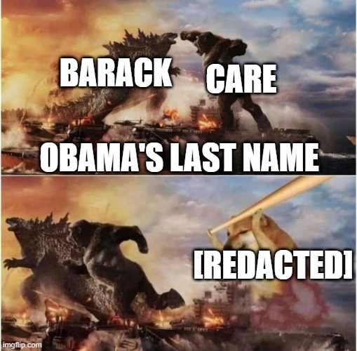 Obama's Last Name | BARACK; CARE; OBAMA'S LAST NAME; [REDACTED] | image tagged in kong godzilla doge,obama | made w/ Imgflip meme maker