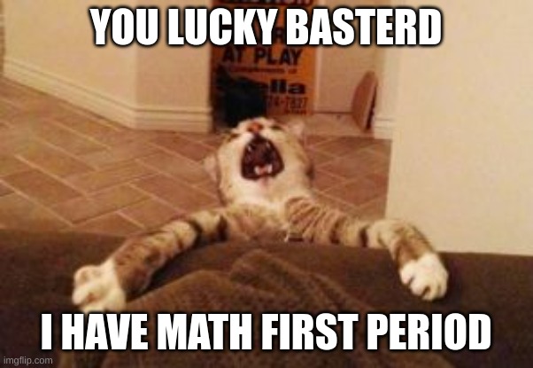 Cat Falling | YOU LUCKY BASTERD I HAVE MATH FIRST PERIOD | image tagged in cat falling | made w/ Imgflip meme maker