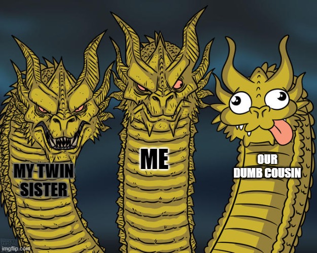I hate him | ME; OUR DUMB COUSIN; MY TWIN SISTER | image tagged in three-headed dragon | made w/ Imgflip meme maker