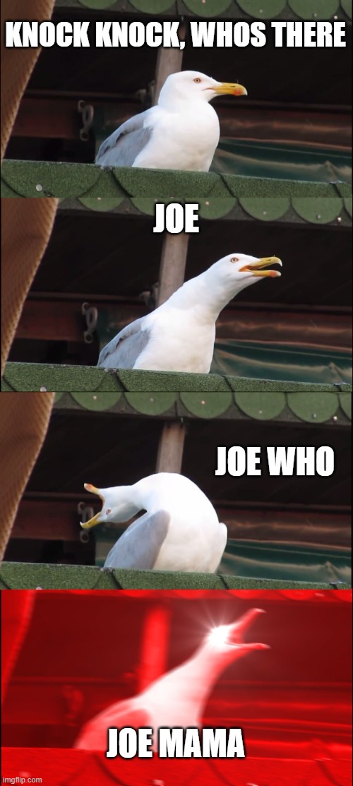 joe mama |  KNOCK KNOCK, WHOS THERE; JOE; JOE WHO; JOE MAMA | image tagged in memes,inhaling seagull | made w/ Imgflip meme maker
