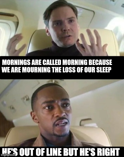 He's Out of Line But He's Right | MORNINGS ARE CALLED MORNING BECAUSE WE ARE MOURNING THE LOSS OF OUR SLEEP | image tagged in he's out of line but he's right | made w/ Imgflip meme maker