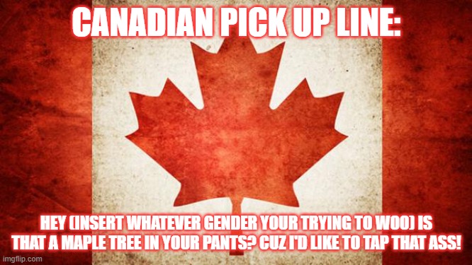 this stream was dead so i thought i'd revive it! |  CANADIAN PICK UP LINE:; HEY (INSERT WHATEVER GENDER YOUR TRYING TO WOO) IS THAT A MAPLE TREE IN YOUR PANTS? CUZ I'D LIKE TO TAP THAT ASS! | image tagged in canada | made w/ Imgflip meme maker