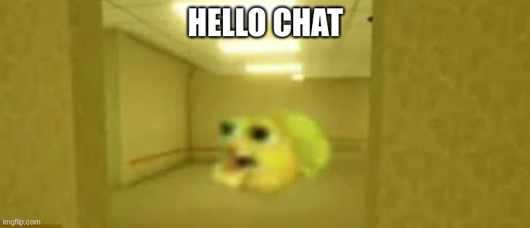 pufferfish in the backrooms | HELLO CHAT | image tagged in pufferfish in the backrooms | made w/ Imgflip meme maker