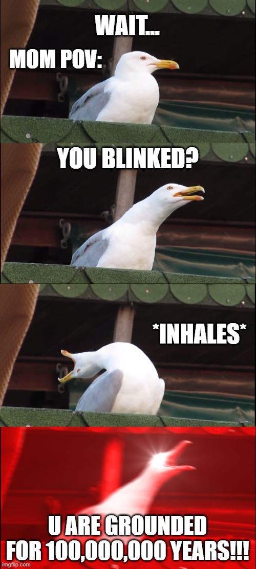i think i went a little overboard | WAIT... MOM POV:; YOU BLINKED? *INHALES*; U ARE GROUNDED FOR 100,000,000 YEARS!!! | image tagged in memes,inhaling seagull | made w/ Imgflip meme maker