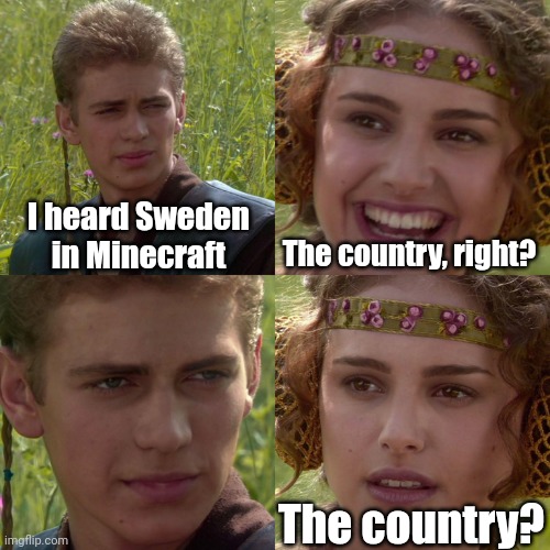 When you heard Sweden in Minecraft | I heard Sweden in Minecraft; The country, right? The country? | image tagged in anakin padme 4 panel,memes,funny,minecraft | made w/ Imgflip meme maker