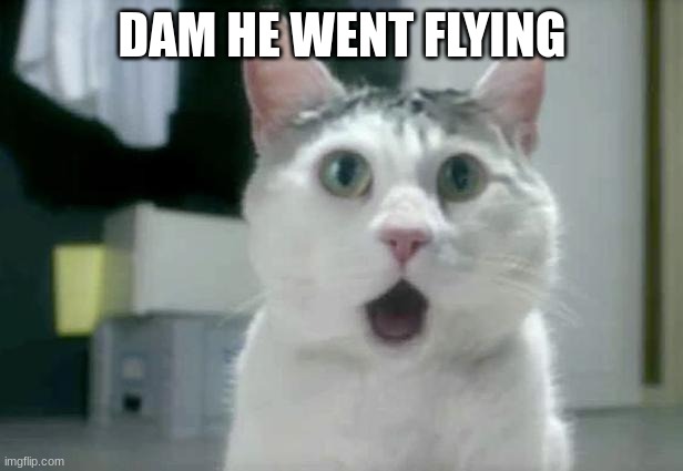 OMG Cat Meme | DAM HE WENT FLYING | image tagged in memes,omg cat | made w/ Imgflip meme maker