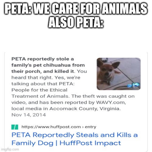So apparently the same people who care about animals also kill a families Chihuahua |  PETA: WE CARE FOR ANIMALS
ALSO PETA: | image tagged in peta | made w/ Imgflip meme maker