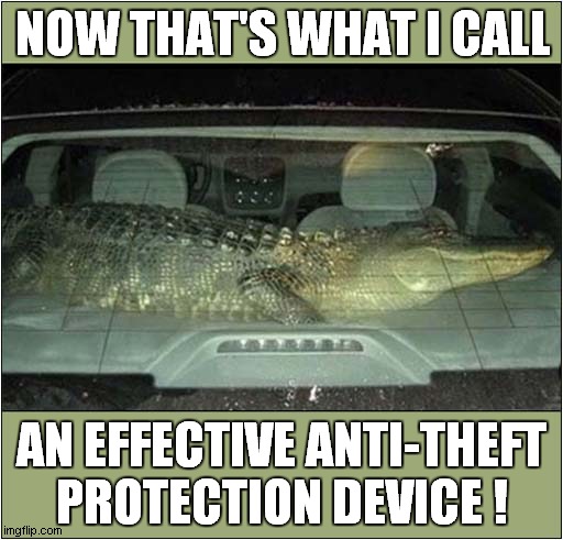 A Car Crocodile Is The Answer ! | NOW THAT'S WHAT I CALL; AN EFFECTIVE ANTI-THEFT PROTECTION DEVICE ! | image tagged in crocodile,now thats what i call,anti-theft | made w/ Imgflip meme maker