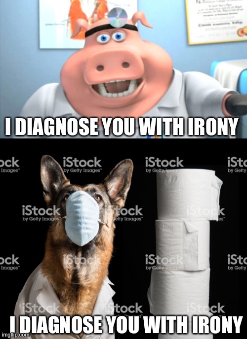 Doubly ironic | I DIAGNOSE YOU WITH IRONY; I DIAGNOSE YOU WITH IRONY | image tagged in i diagnose you with dead,you have been visited by dr doggo,irony | made w/ Imgflip meme maker