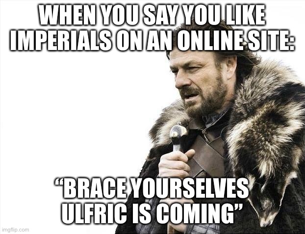 Skyrim belongs to the Nords! | WHEN YOU SAY YOU LIKE IMPERIALS ON AN ONLINE SITE:; “BRACE YOURSELVES ULFRIC IS COMING” | image tagged in memes,brace yourselves x is coming,skyrim,gaming,video games | made w/ Imgflip meme maker