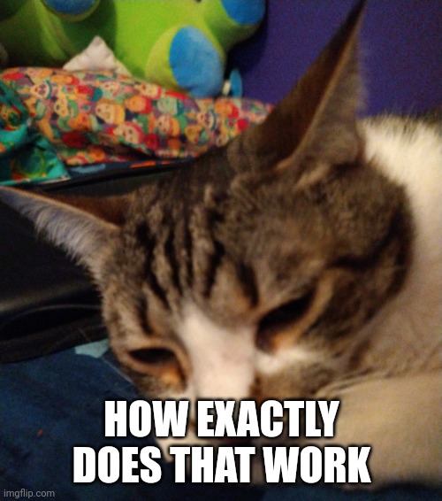 Can you be quiet Mario the cat is trying to sleep | HOW EXACTLY DOES THAT WORK | image tagged in can you be quiet mario the cat is trying to sleep | made w/ Imgflip meme maker