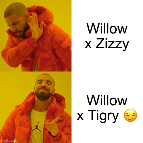 I’m a mess. |  Willow x Zizzy; Willow x Tigry 😏 | image tagged in memes,drake hotline bling | made w/ Imgflip meme maker