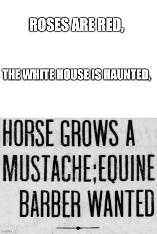 I found this on Tumblr |  ROSES ARE RED, THE WHITE HOUSE IS HAUNTED, | image tagged in blank white template | made w/ Imgflip meme maker