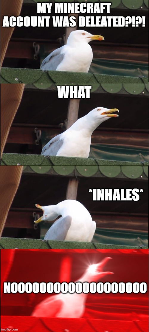 Inhaling Seagull | MY MINECRAFT ACCOUNT WAS DELEATED?!?! WHAT; *INHALES*; NOOOOOOOOOOOOOOOOOOO | image tagged in memes,inhaling seagull | made w/ Imgflip meme maker