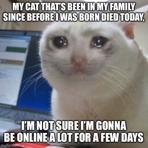 I’ll at least not be on a lot today at the very least | MY CAT THAT’S BEEN IN MY FAMILY SINCE BEFORE I WAS BORN DIED TODAY, I’M NOT SURE I’M GONNA BE ONLINE A LOT FOR A FEW DAYS | image tagged in crying cat | made w/ Imgflip meme maker