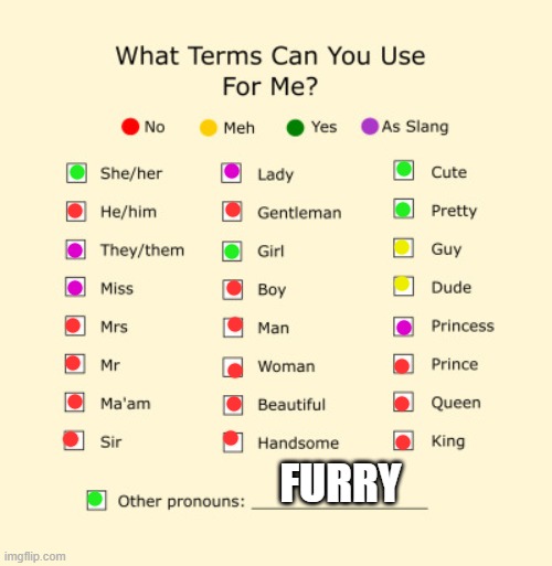 Hewo dis is me | FURRY | image tagged in pronouns sheet,furry,lgbtq | made w/ Imgflip meme maker