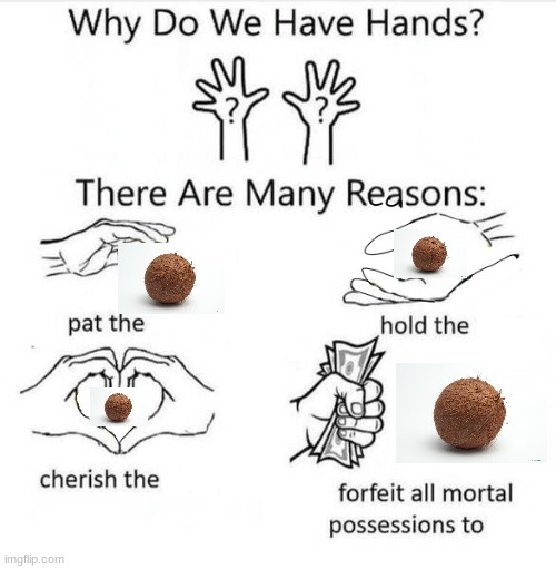 Have you ever gotten a coconut out of a tree before? | image tagged in why do we have hands | made w/ Imgflip meme maker