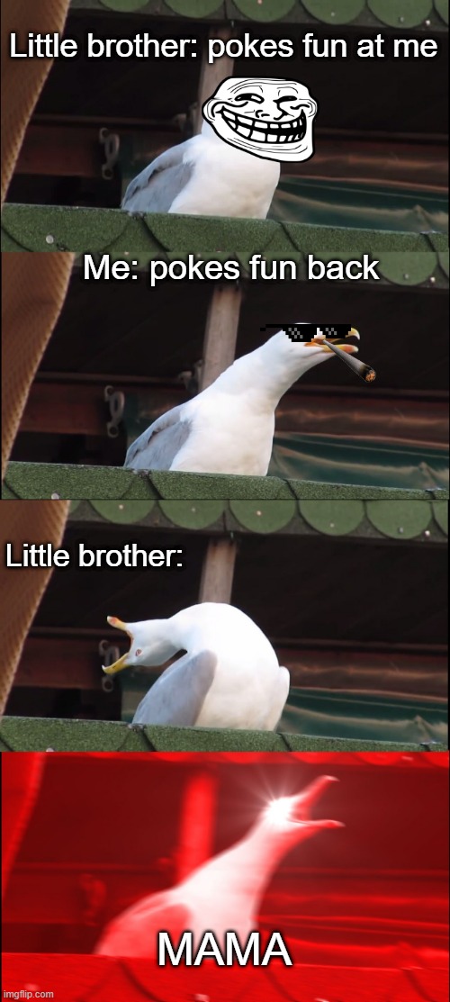 every little brother tho |  Little brother: pokes fun at me; Me: pokes fun back; Little brother:; MAMA | image tagged in inhaling seagull,troll face,troll,mama,little brother,annoying | made w/ Imgflip meme maker