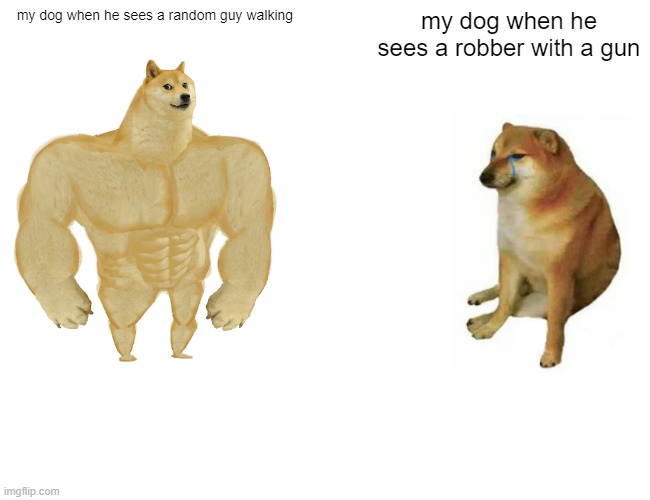 true |  my dog when he sees a random guy walking; my dog when he sees a robber with a gun | image tagged in memes,buff doge vs cheems | made w/ Imgflip meme maker