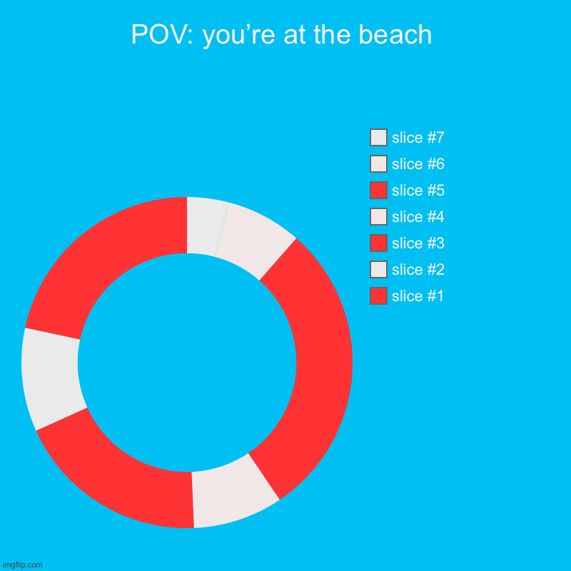 Hey, lifeguard floaty. | POV: you’re at the beach | | image tagged in charts,donut charts | made w/ Imgflip chart maker