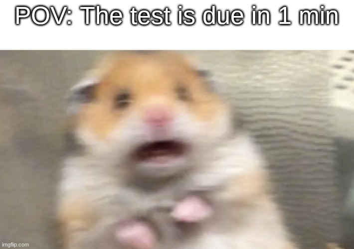 oh no... | POV: The test is due in 1 min | image tagged in memes | made w/ Imgflip meme maker