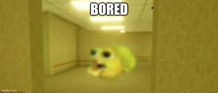 pufferfish in the backrooms | BORED | image tagged in pufferfish in the backrooms | made w/ Imgflip meme maker