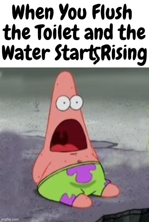 This is a certified "OH NO" classic | image tagged in suprised patrick,toilet | made w/ Imgflip meme maker