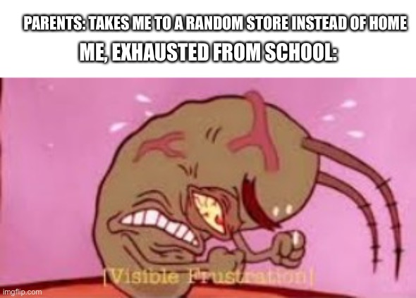 Frustration intensifies | PARENTS: TAKES ME TO A RANDOM STORE INSTEAD OF HOME; ME, EXHAUSTED FROM SCHOOL: | image tagged in visible frustration | made w/ Imgflip meme maker