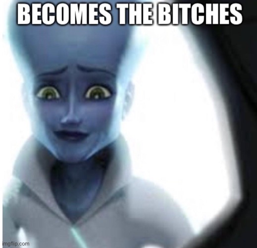 becomes the bitches | image tagged in becomes the bitches | made w/ Imgflip meme maker