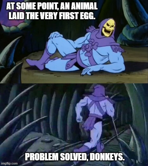 Skeletor disturbing facts | AT SOME POINT, AN ANIMAL LAID THE VERY FIRST EGG. PROBLEM SOLVED, DONKEYS. | image tagged in skeletor disturbing facts | made w/ Imgflip meme maker