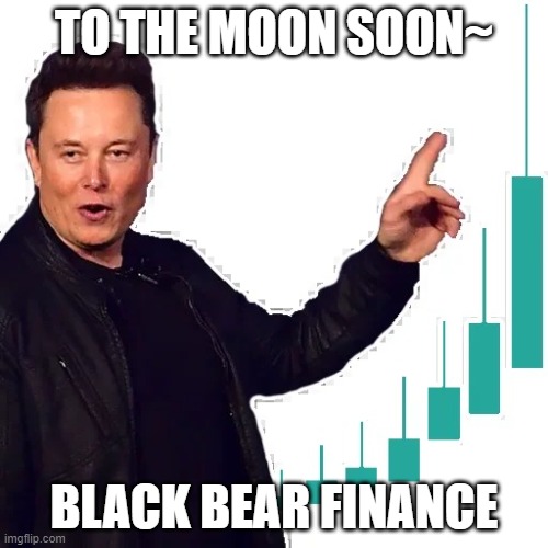 Elon | TO THE MOON SOON~; BLACK BEAR FINANCE | image tagged in elon | made w/ Imgflip meme maker