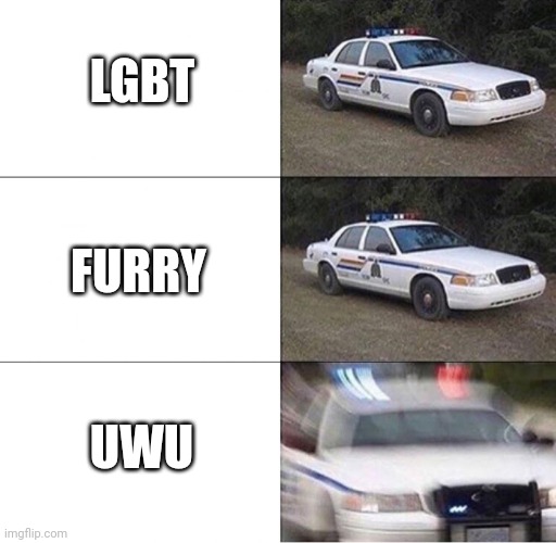 Police Car  | LGBT FURRY UWU | image tagged in police car | made w/ Imgflip meme maker