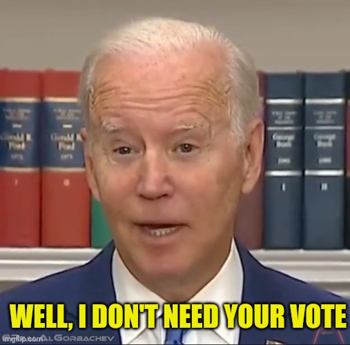 WELL, I DON'T NEED YOUR VOTE | made w/ Imgflip meme maker