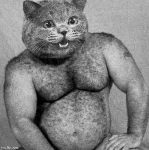 sexy cat | made w/ Imgflip meme maker