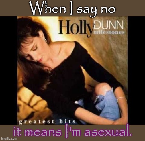 A better take on the song "Maybe I Mean Yes." |  When I say no; it means I'm asexual. | image tagged in country music,misogyny,parody | made w/ Imgflip meme maker