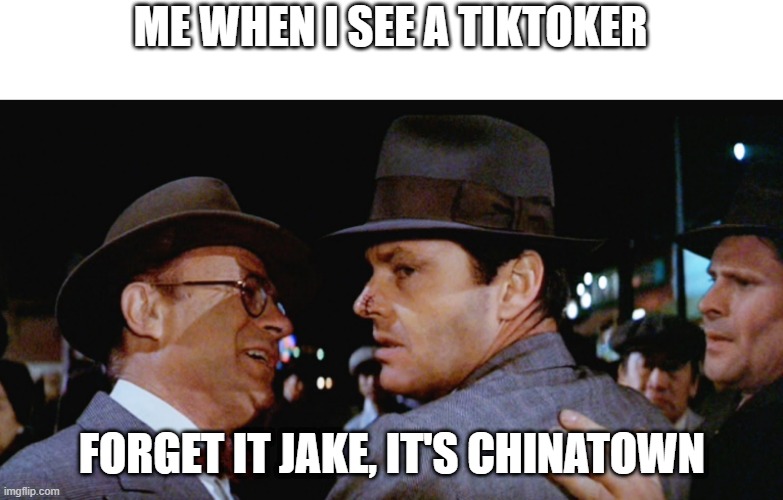 forget it jake  its chinatown | ME WHEN I SEE A TIKTOKER; FORGET IT JAKE, IT'S CHINATOWN | image tagged in forget it jake its chinatown | made w/ Imgflip meme maker