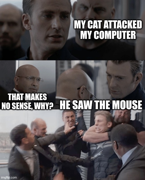 Cat Attack |  MY CAT ATTACKED MY COMPUTER; THAT MAKES NO SENSE, WHY? HE SAW THE MOUSE | image tagged in captain america elevator | made w/ Imgflip meme maker