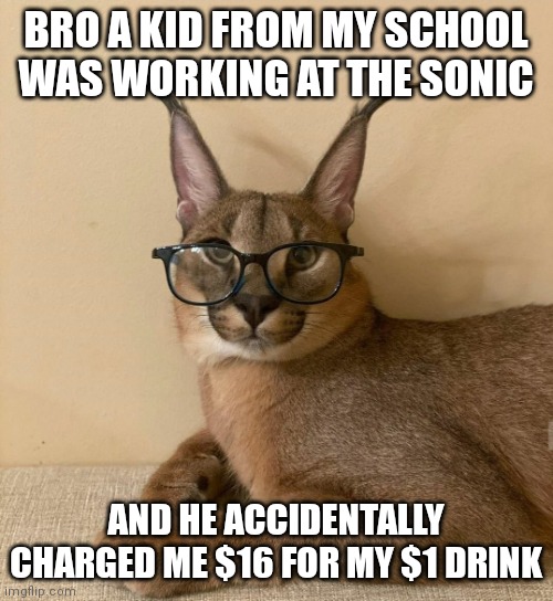 floppa glasses | BRO A KID FROM MY SCHOOL WAS WORKING AT THE SONIC; AND HE ACCIDENTALLY CHARGED ME $16 FOR MY $1 DRINK | image tagged in floppa glasses | made w/ Imgflip meme maker