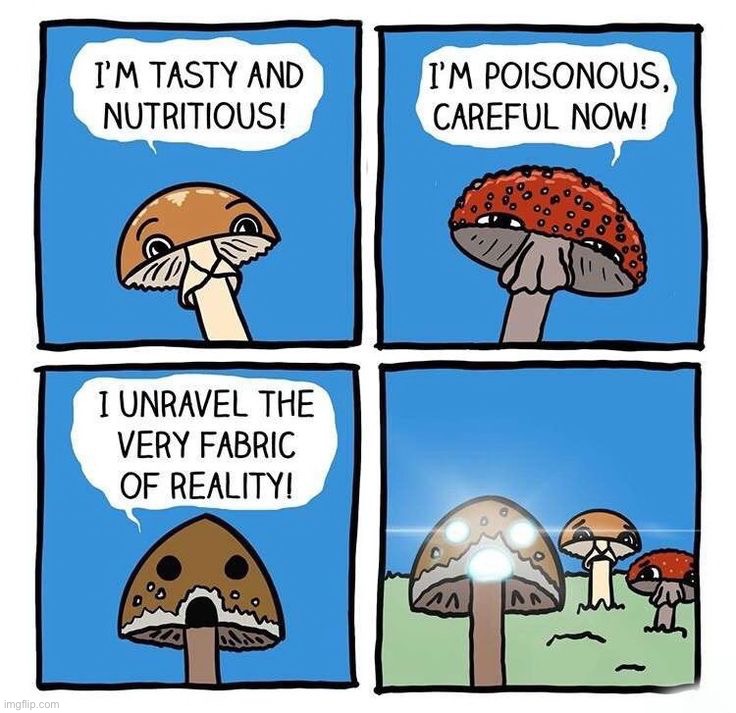 image tagged in comics/cartoons | made w/ Imgflip meme maker