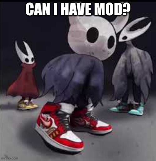 Hollow Knight Drip | CAN I HAVE MOD? | image tagged in hollow knight drip | made w/ Imgflip meme maker