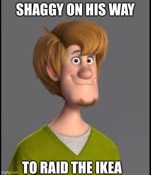Shaggy on his was to raid the local ikea | SHAGGY ON HIS WAY; TO RAID THE IKEA | image tagged in shaggy meme | made w/ Imgflip meme maker