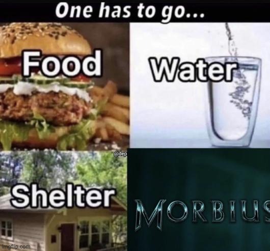 gotta be shelter | made w/ Imgflip meme maker