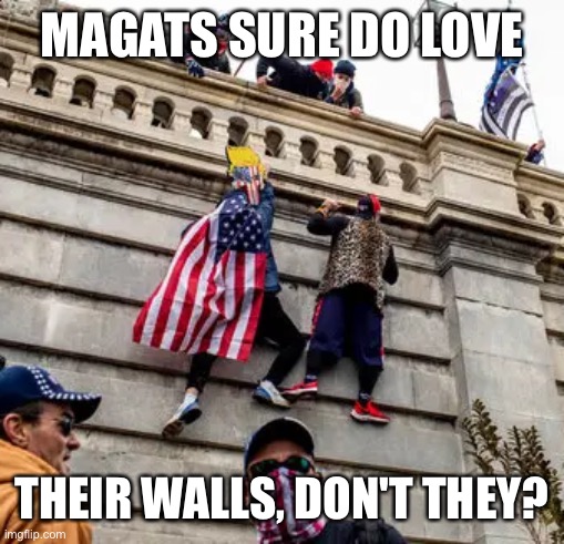 Scale the wall! | MAGATS SURE DO LOVE; THEIR WALLS, DON'T THEY? | image tagged in capitol hill wall climbers qanon maga trump | made w/ Imgflip meme maker