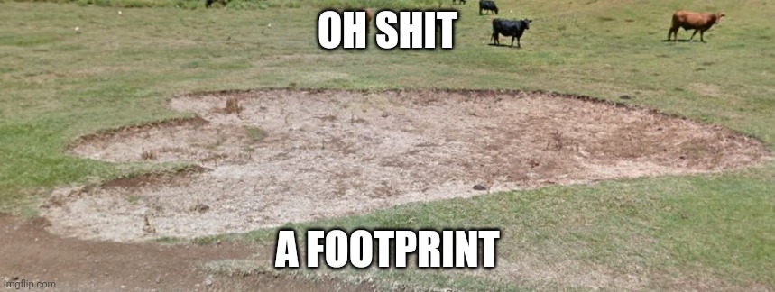 OH SHIT; A FOOTPRINT | made w/ Imgflip meme maker